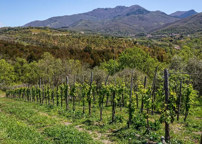 L'aurora 3*